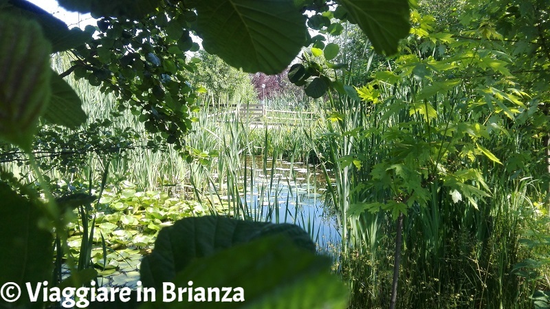 Laghi in Brianza, il laghetto di San Carlo a Seregno