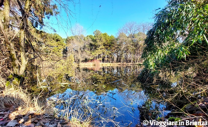 Laghi in Brianza, la Zoca dei Pirutit a Meda