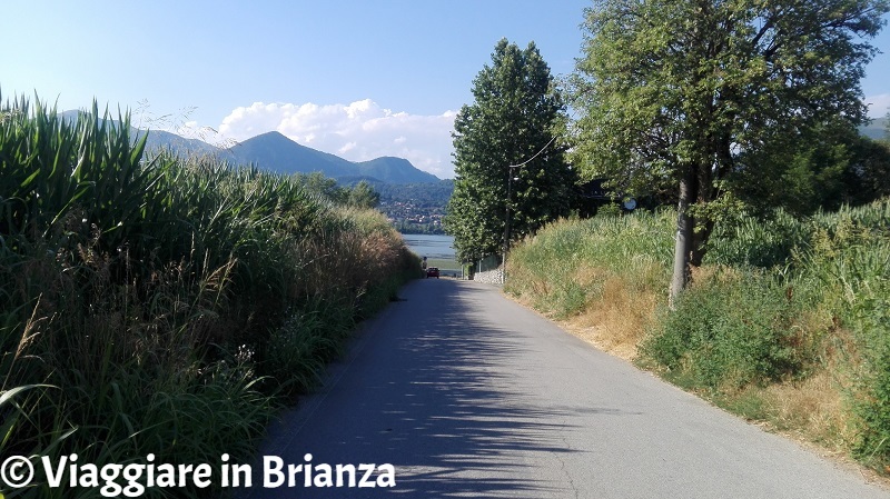 Laghi balneabili in Brianza, il lago di Pusiano a Merone