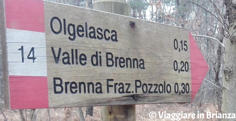 Cosa fare a Brenna, il Parco della Brughiera