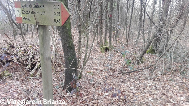 Parco della Brughiera Briantea, i cartelli del sentiero 7 a Mariano