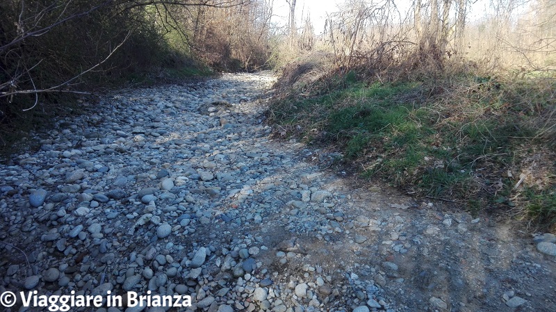 Parco della Brughiera Briantea, il guado del Terrò