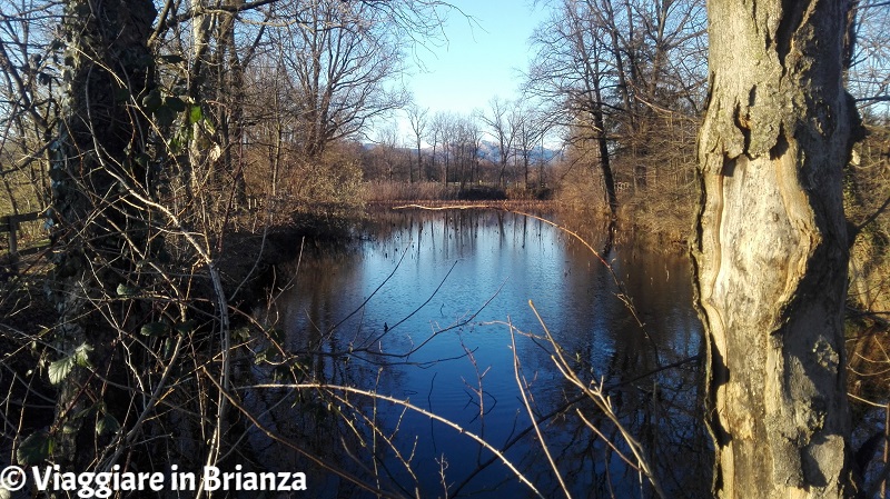 Parco della Brughiera Briantea, i laghetti della Mordina