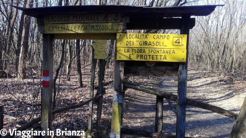 Parco della Brughiera Briantea, la località Campo dei Girasoli