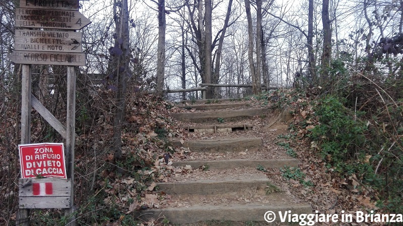 Parco della Brughiera Briantea, la scalina per i laghetti della Mordina