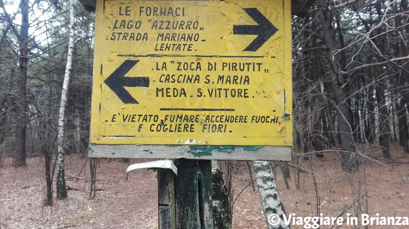 Parco della Brughiera Briantea, la strada Mariano-Lentate