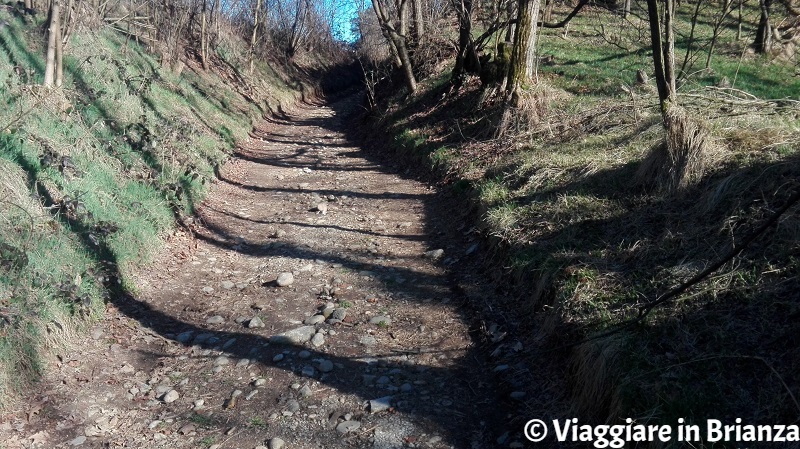 Sentiero 4 del Parco della Brughiera Briantea, la salita dalla Valle del Terrò