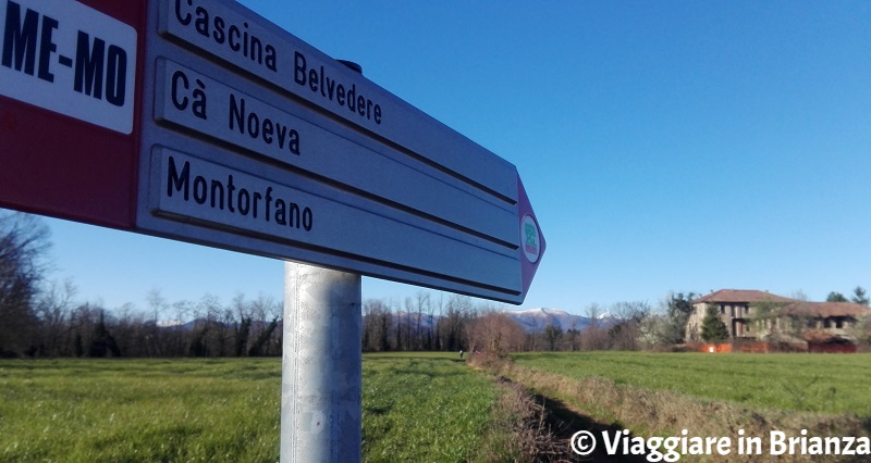 Il sentiero per Cascina Belvedere