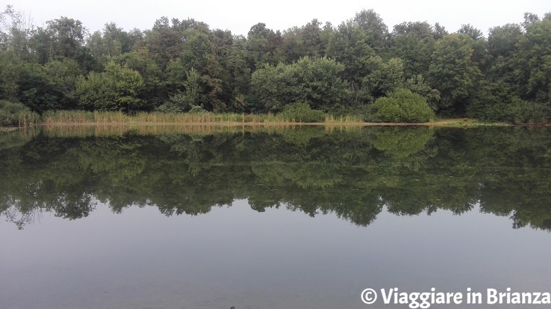 Dove pescare vicino a Milano, il Lago Azzurro di Lentate