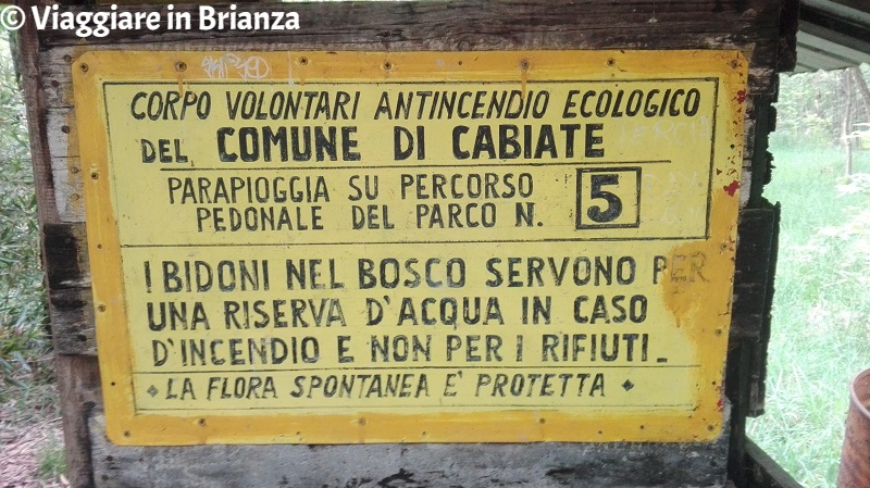 A che cosa servono i bidoni in un bosco