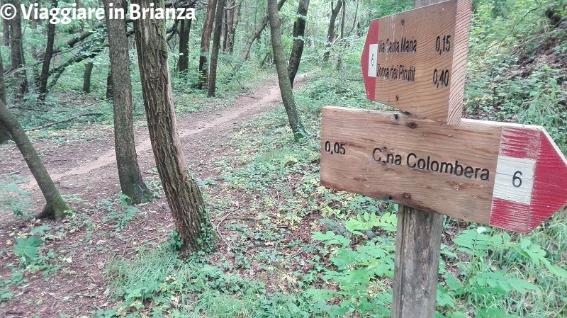 Deviazione per Cascina Colombera nel Parco della Brughiera Briantea