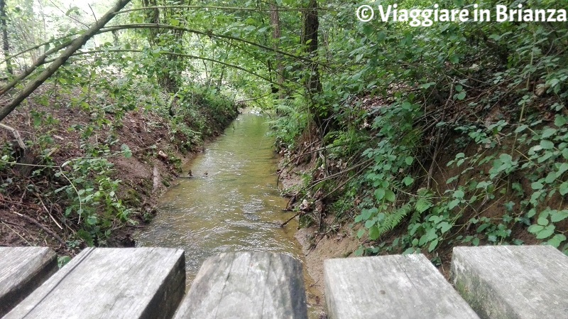 Il fosso della Valle della Brughiera a Lentate sul Seveso