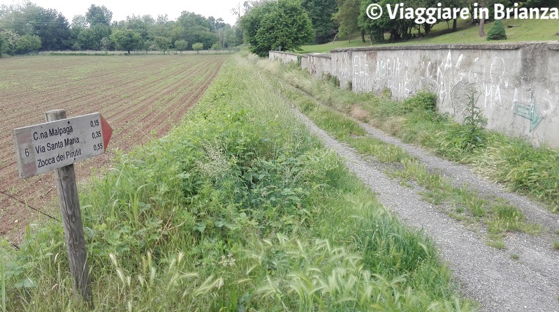 L'ingresso del sentiero 6 del Parco della Brughiera Briantea