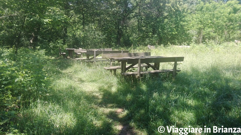 Le panchine al Prato della Contessa