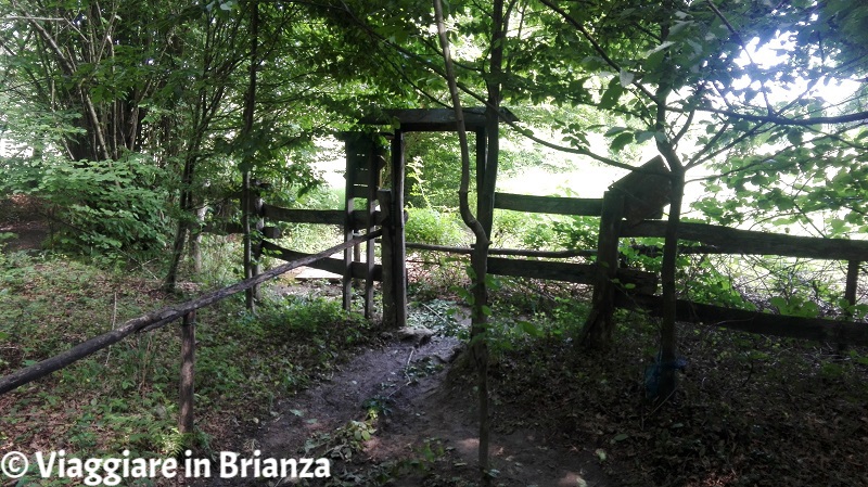 Parco della Brughiera Briantea, terreno fangoso