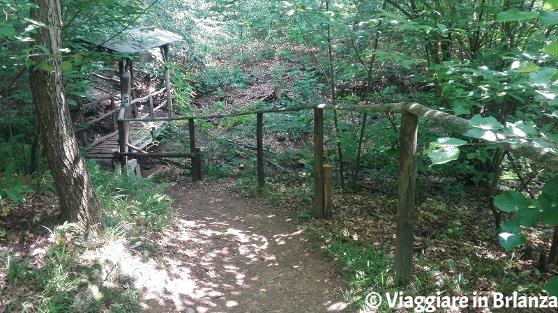 Parco della Brughiera, ponte sul sentiero 5