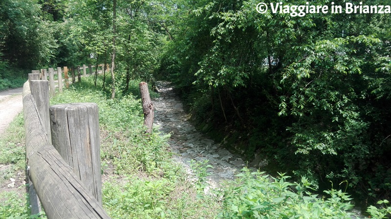 Parco della Brughiera, il sentiero 5