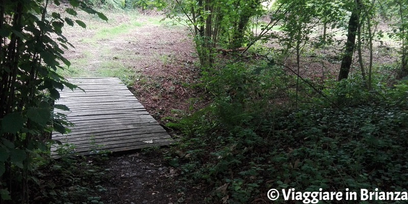 Il ponte sul fosso della Valle della Brughiera a Lentate sul Seveso