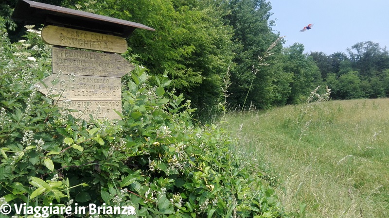 Il prato di San Francesco a Cabiate