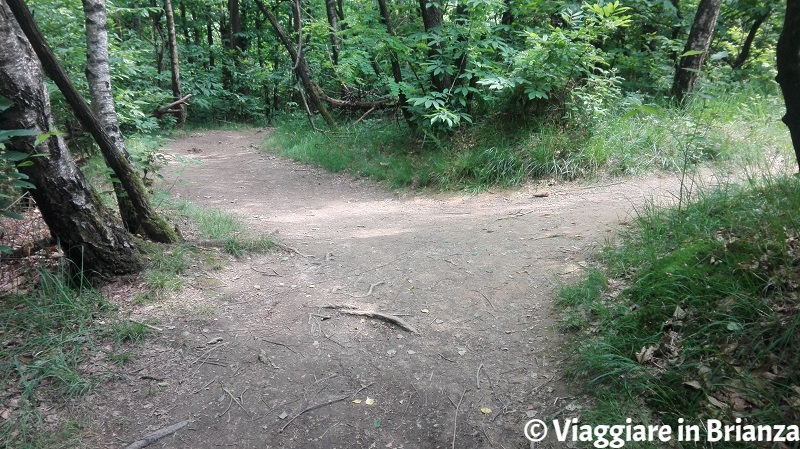 Sentiero 5 del Parco della Brughiera, bivio