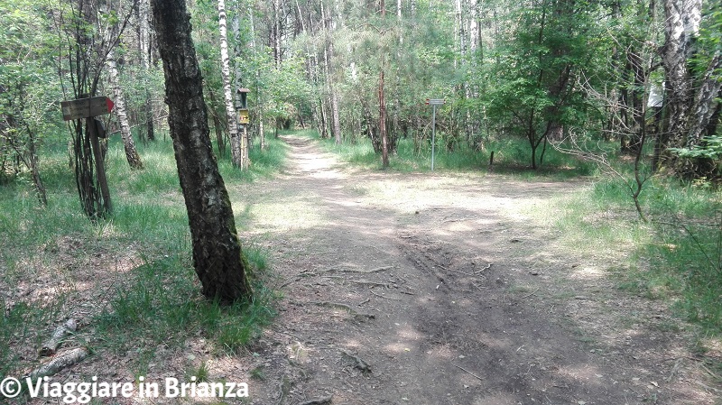 Sentiero 5 del Parco della Brughiera, i cartelli