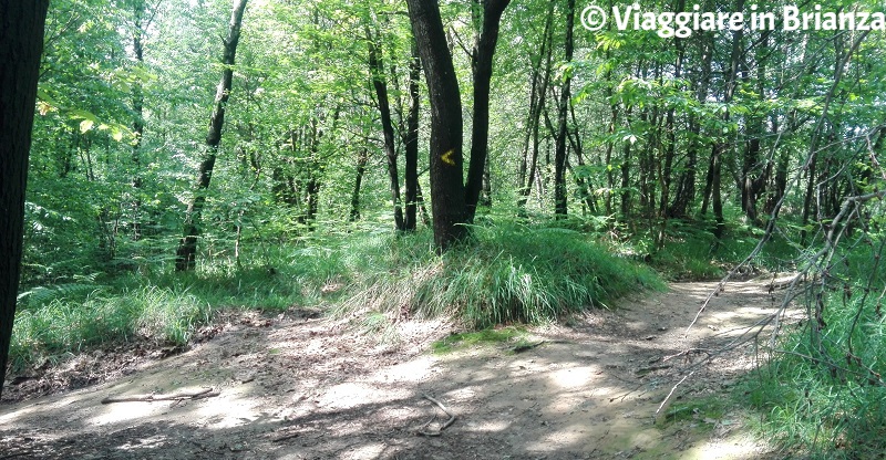 Sentiero 6 del Parco della Brughiera Briantea, Cascina Malpaga