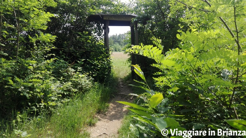 Il sentiero nel Bosco di San Francesco