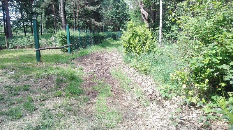 La strada per Cascina Malisca nel Parco della Brughiera Briantea