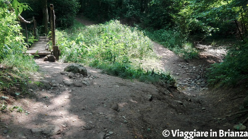 La valle del Boscaccio sul sentiero 5