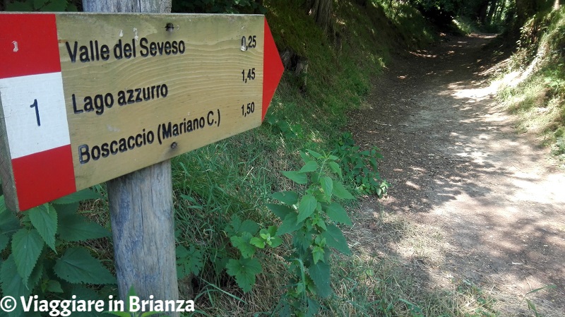 L'accesso al sentiero 1 del Parco della Brughiera Briantea