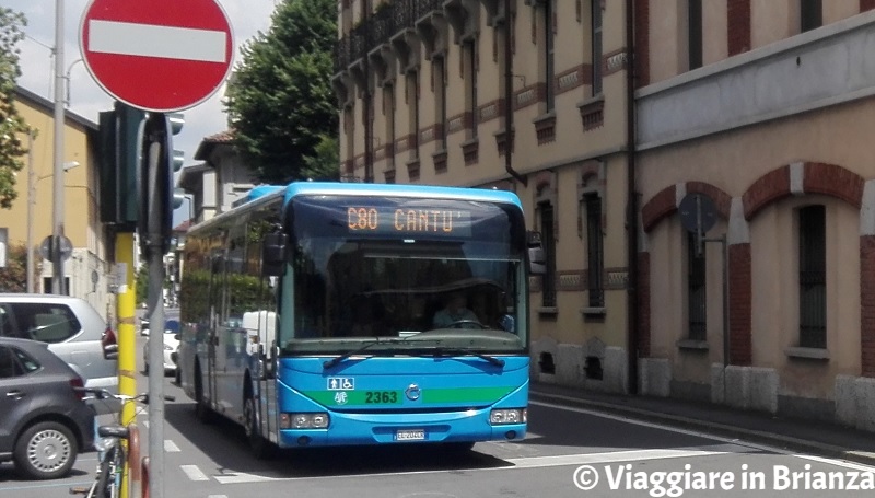 L'autobus C80