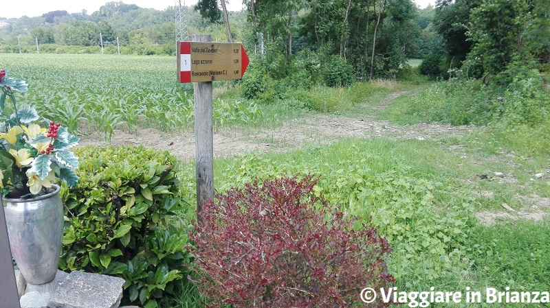 I cartelli sul sentiero 1 del Parco della Brughiera Briantea