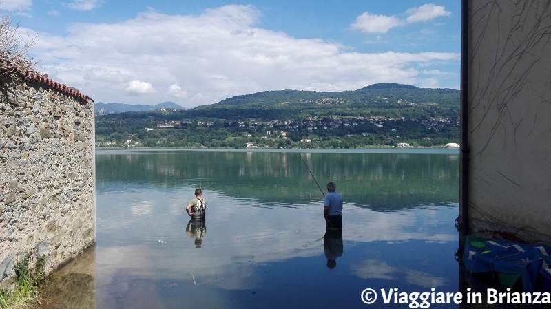 Dove pescare sul lago di Annone