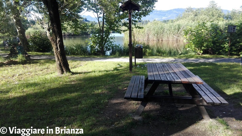 Fare un picnic al lago di Sartirana