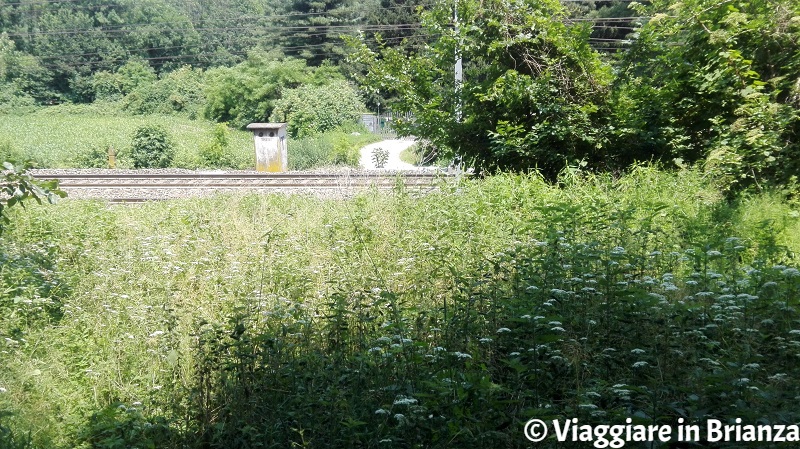 La ferrovia tra Lentate e Carimate