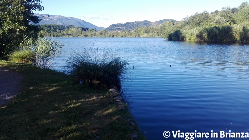 Le isole est del lago di Sartirana