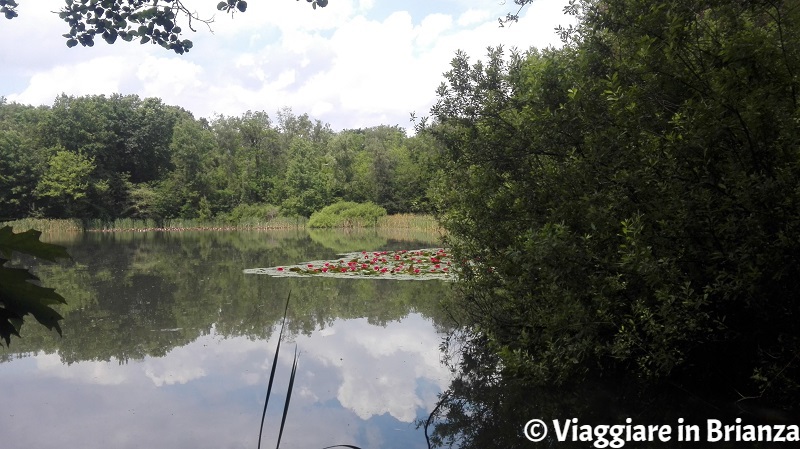 Il Lago Azzurro di Lentate