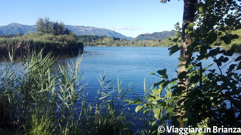 Il lago di Sartirana a Merate