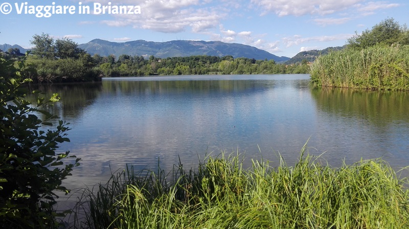 Lago di Sartirana, lo slargo del Bagnolo