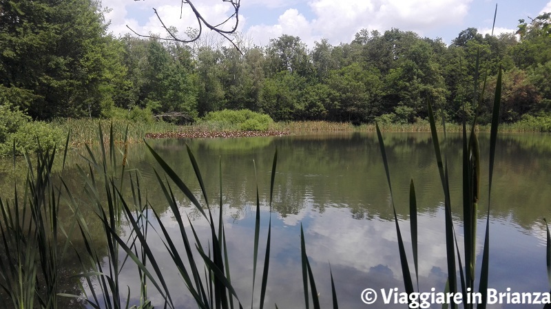 Lentate sul Seveso, il Lago Azzurro