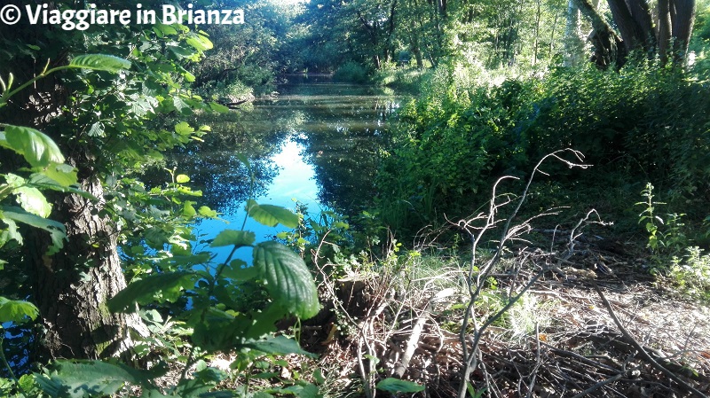 Merate, il lago di Sartirana