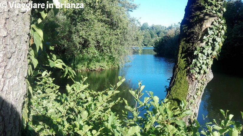 Merate, il lago di Sartirana