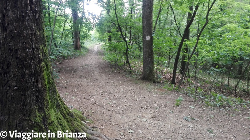 Parco della Brughiera Briantea, il sentiero 1 per Cascina Imperatore