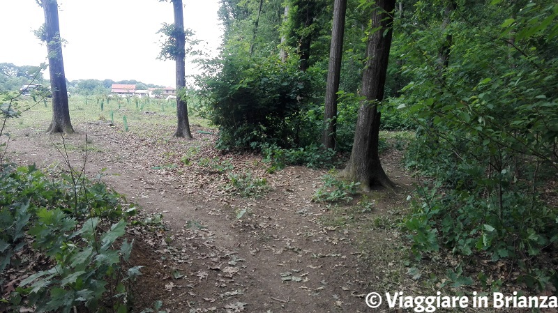 Il Parco della Brughiera: Cascina Imperatore