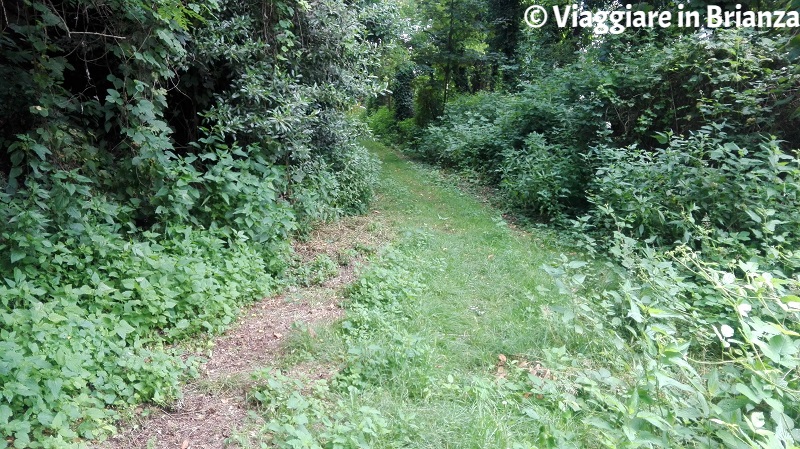 Parco delle Groane e della Brughiera Briantea, il sentiero 2