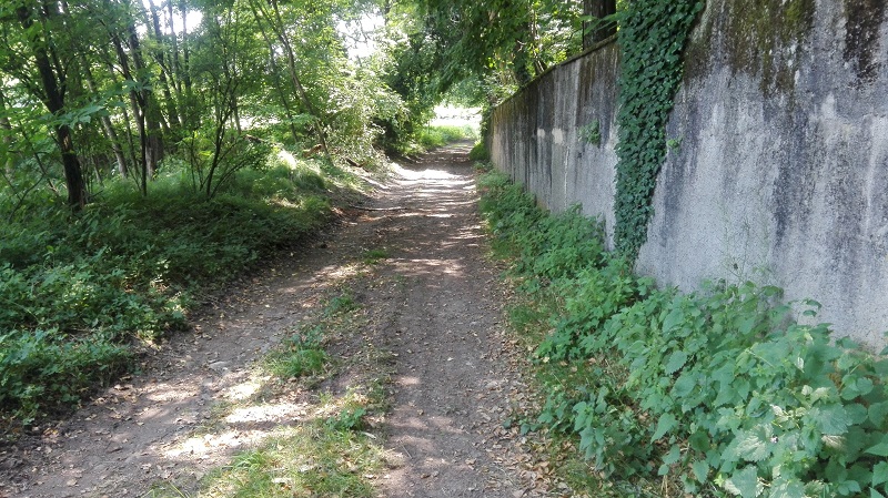 Il sentiero 1 del Parco della Brughiera nella Valle del Seveso