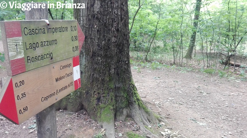 Il sentiero per Cascina Imperatore a Lentate