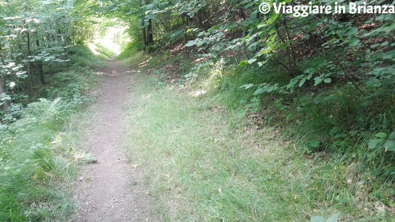 La Valle del Seveso nel Parco della Brughiera