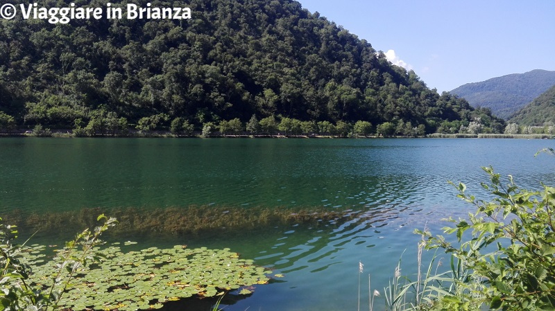 Bagno al lago in Lombardia, il lago del Segrino