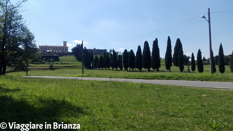 Cosa fare a Inverigo, il Viale dei Cipressi